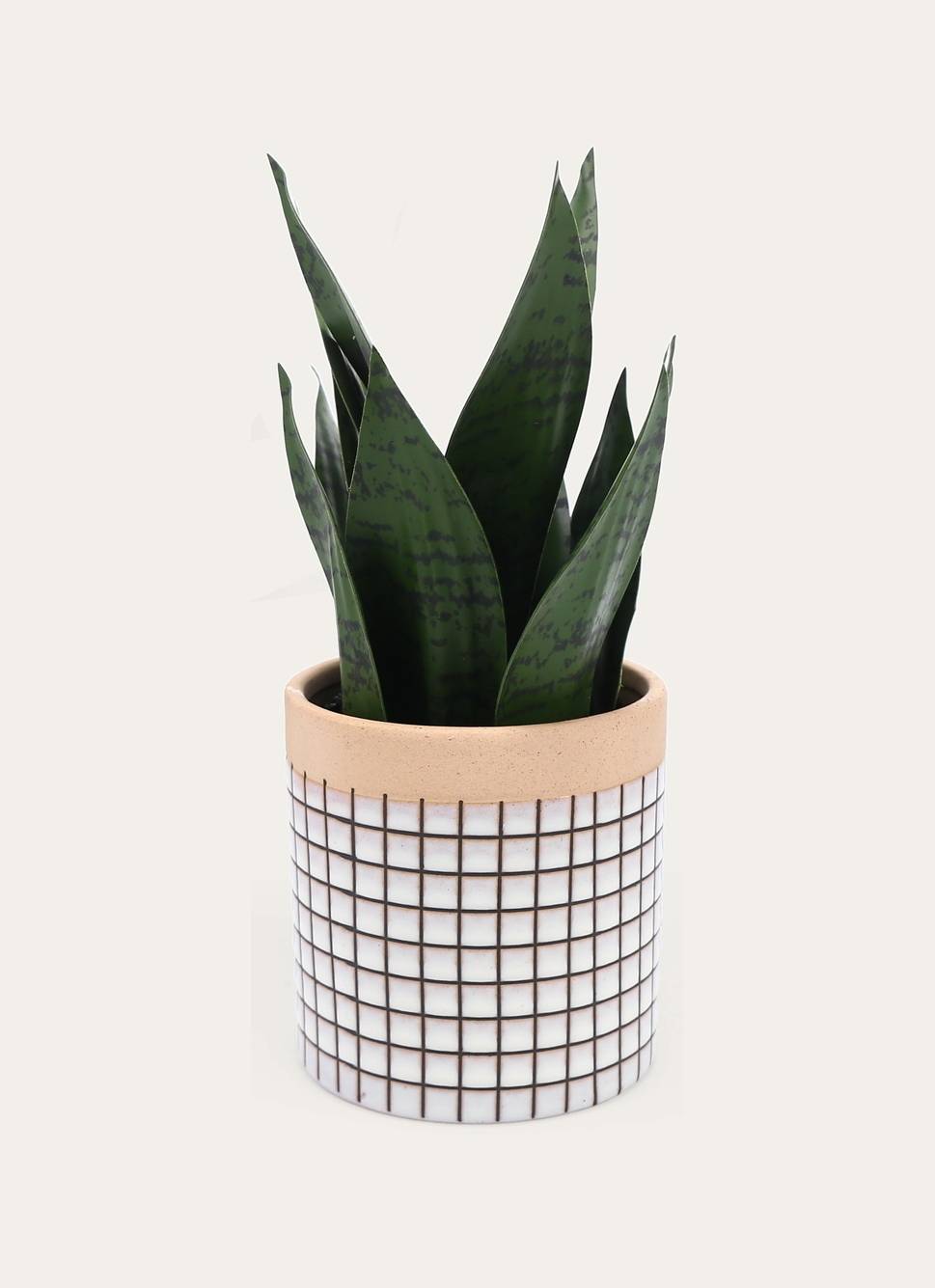 PETITE PLANTE AVEC POT À CARREAUX BLANC