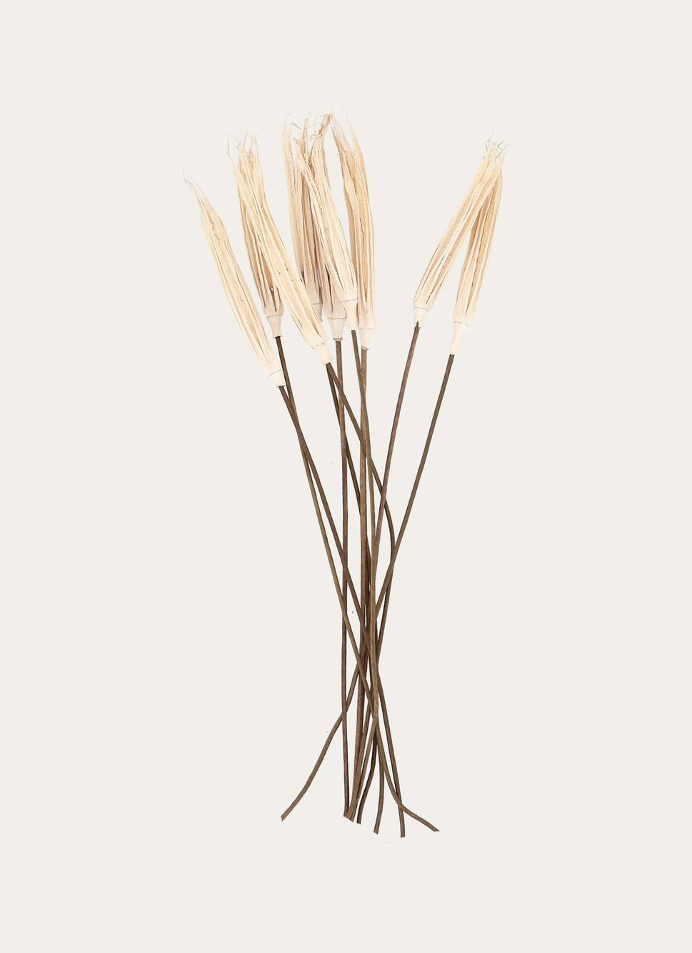 BOUQUET DE FLEURS SÉCHÉES BLANC CASSÉ
