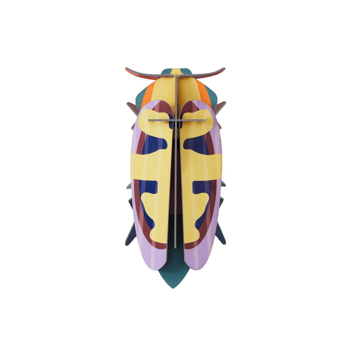 Mango-Flower-Beetle.jpg