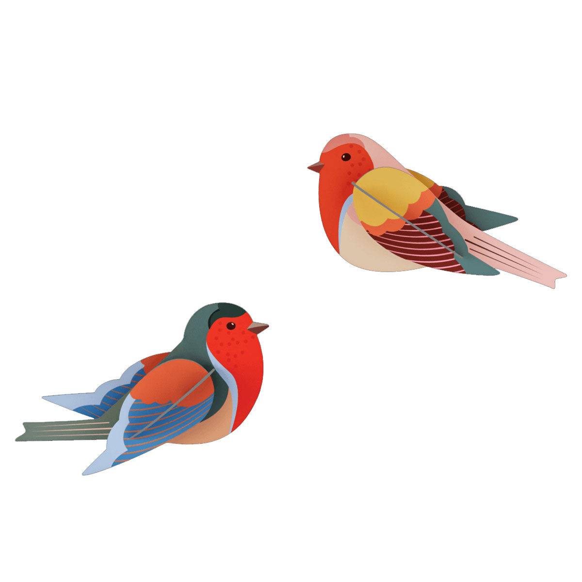 birds_robins.jpg